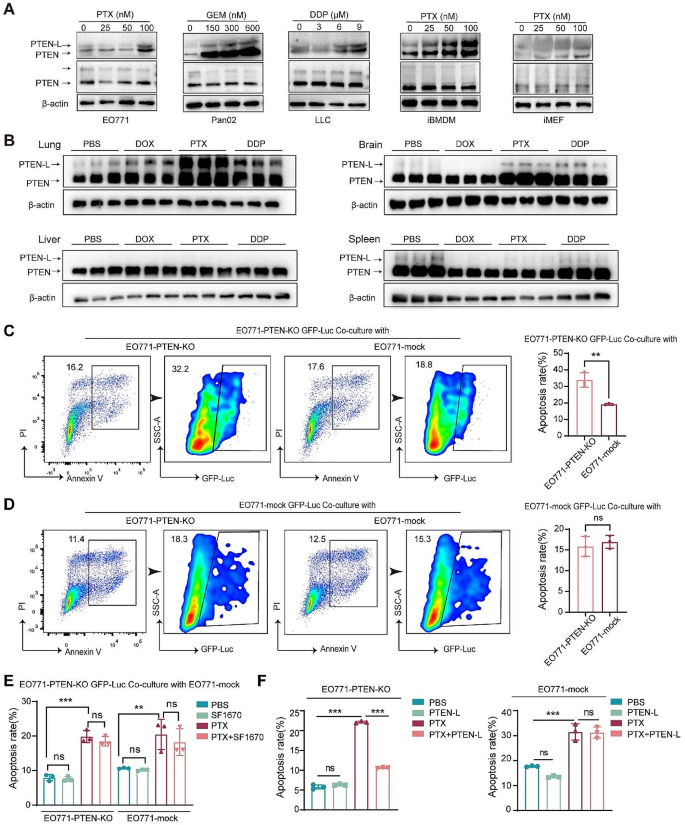dna repair research article figure 1