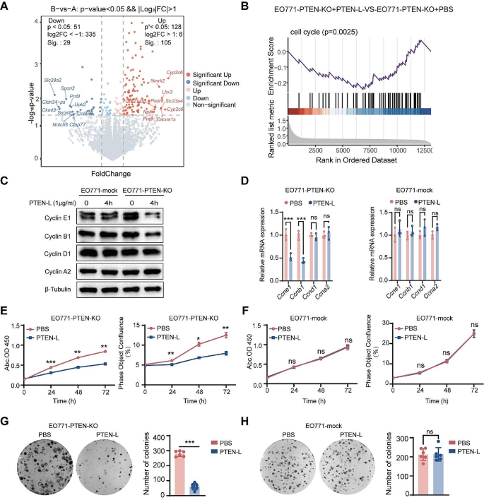 dna repair research article figure 2