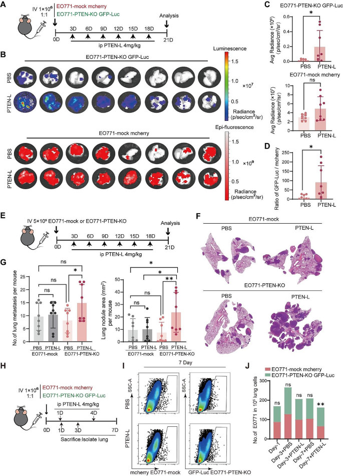 dna repair research article figure 3
