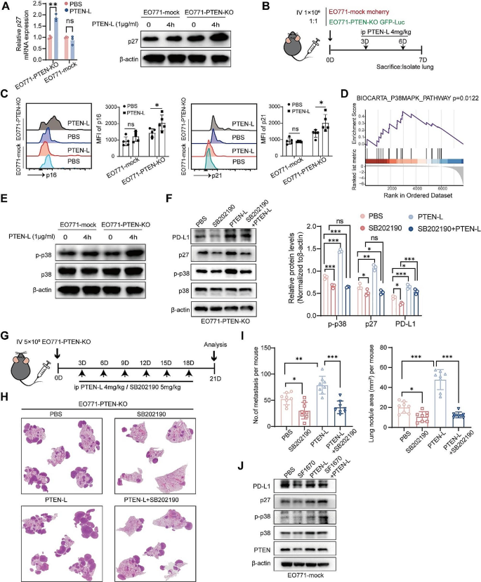 dna repair research article figure 5