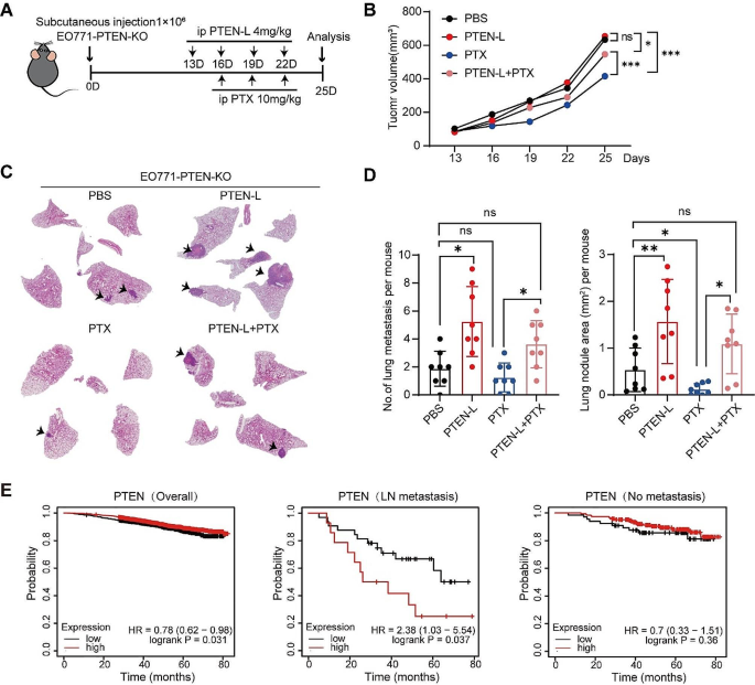 dna repair research article figure 6