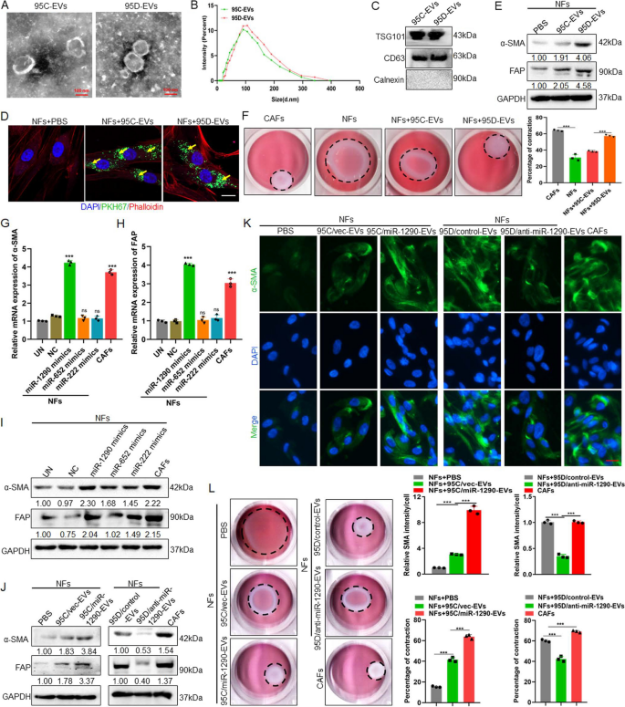 conclusion of stem cell research figure 1