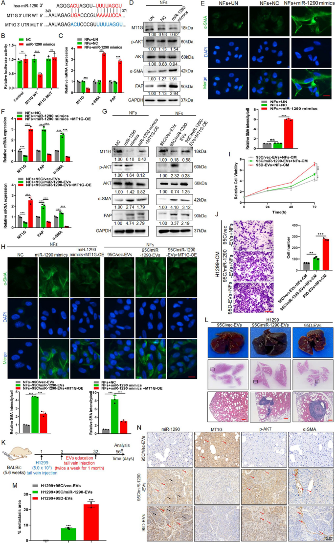 conclusion of stem cell research figure 2
