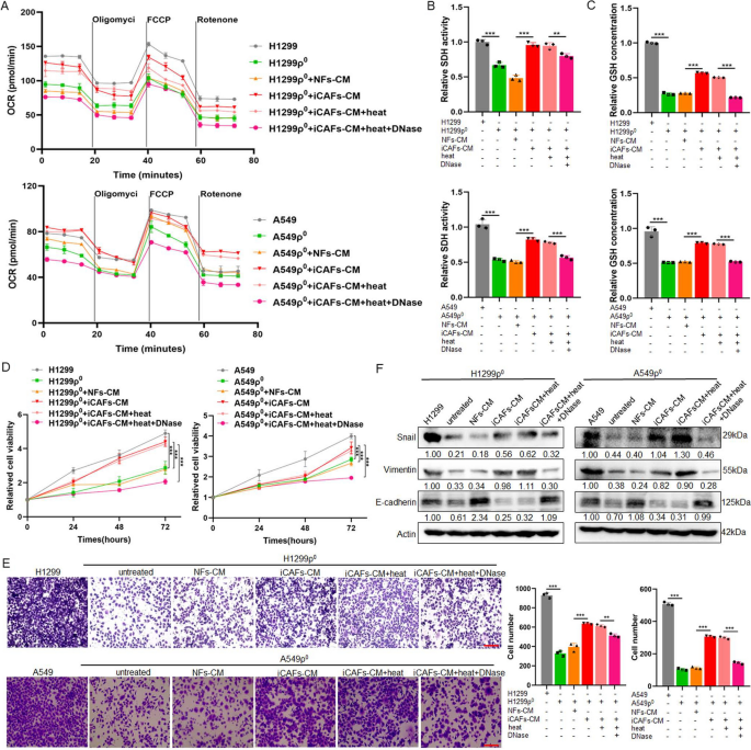conclusion of stem cell research figure 6