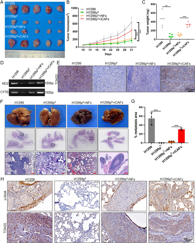 conclusion of stem cell research figure 7