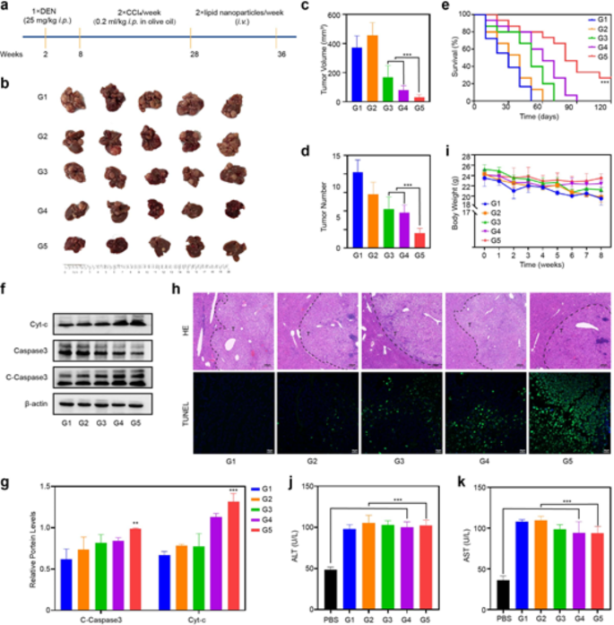 progress in lipid research journal figure 5