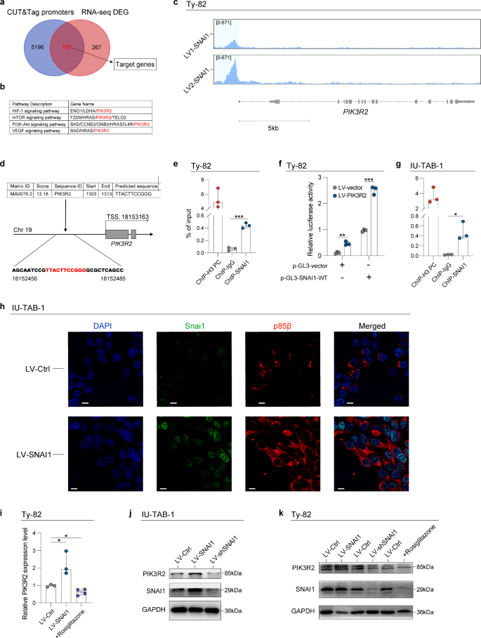 Grafico di analisi dei bonus Snai