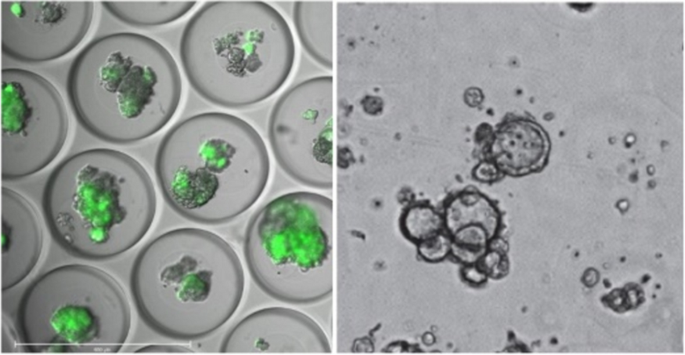 figure 16