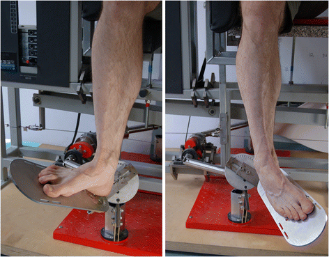 Reliability of isometric subtalar pronator and supinator strength testing |  Journal of Foot and Ankle Research | Full Text