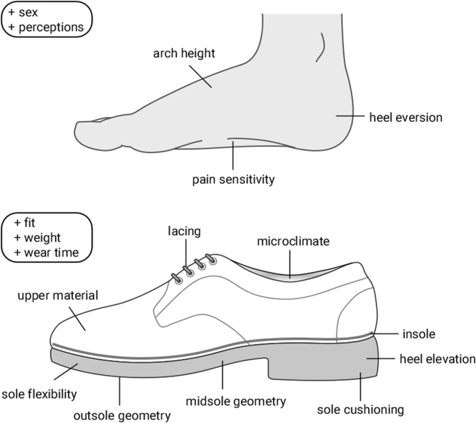 Footwear comfort: a systematic search and narrative synthesis of the  literature | Journal of Foot and Ankle Research | Full Text