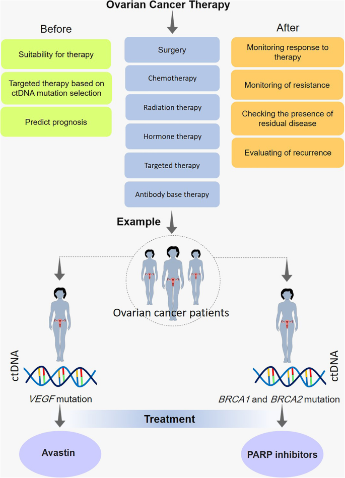 Prediction Of The Treatment Response In Ovarian Cancer A Ctdna Approach Journal Of Ovarian Research Full Text