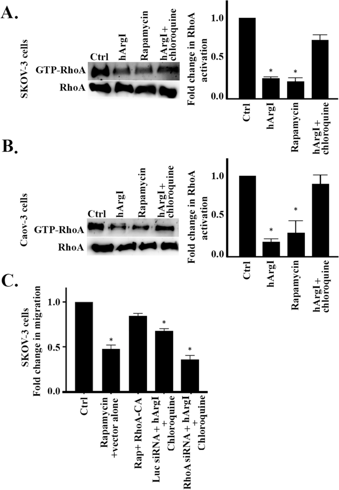 Effect of co-overexpression of the cargo receptor ERGIC-53/MCFD2 on  antibody production and intracellular IgG secretion in recombinant Chinese  hamster ovary cells - ScienceDirect