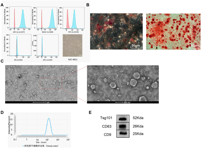 articles against embryonic stem cell research figure 1