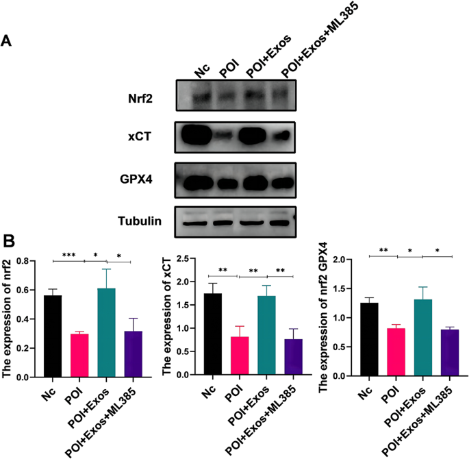 articles against embryonic stem cell research figure 7