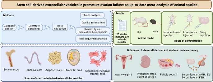 research articles for stem cells