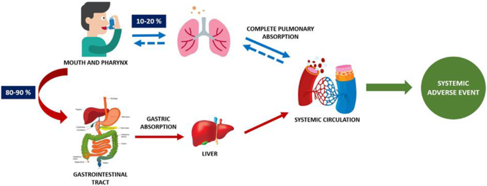 Does Your anabolic steroids cycle Goals Match Your Practices?