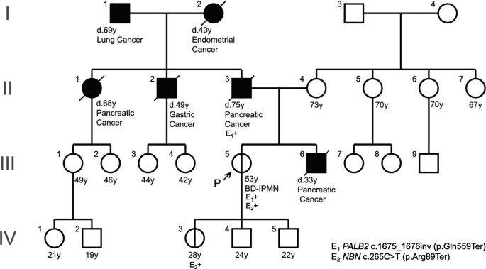 familial pancreatic cancer
