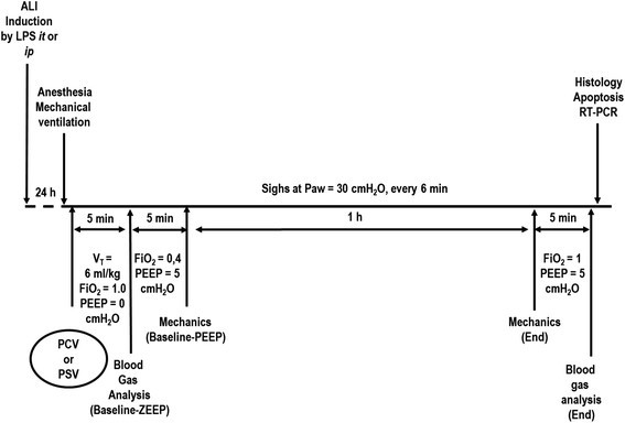 Effects of sigh during pressure control and pressure support ventilation in  pulmonary and extrapulmonary mild acute lung injury | Critical Care | Full  Text