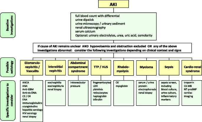 Acute Kidney Injury 16 Diagnosis And Diagnostic Workup Critical Care Full Text