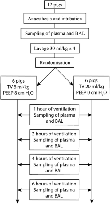 figure 119