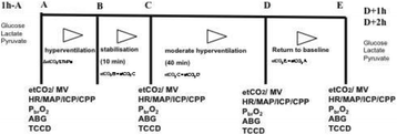 figure 203