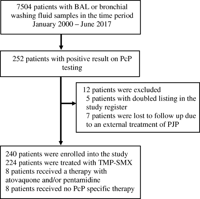 Clinical course, treatment and outcome of Pneumocystis pneumonia in  immunocompromised adults: a retrospective analysis over 17 years | Critical  Care | Full Text