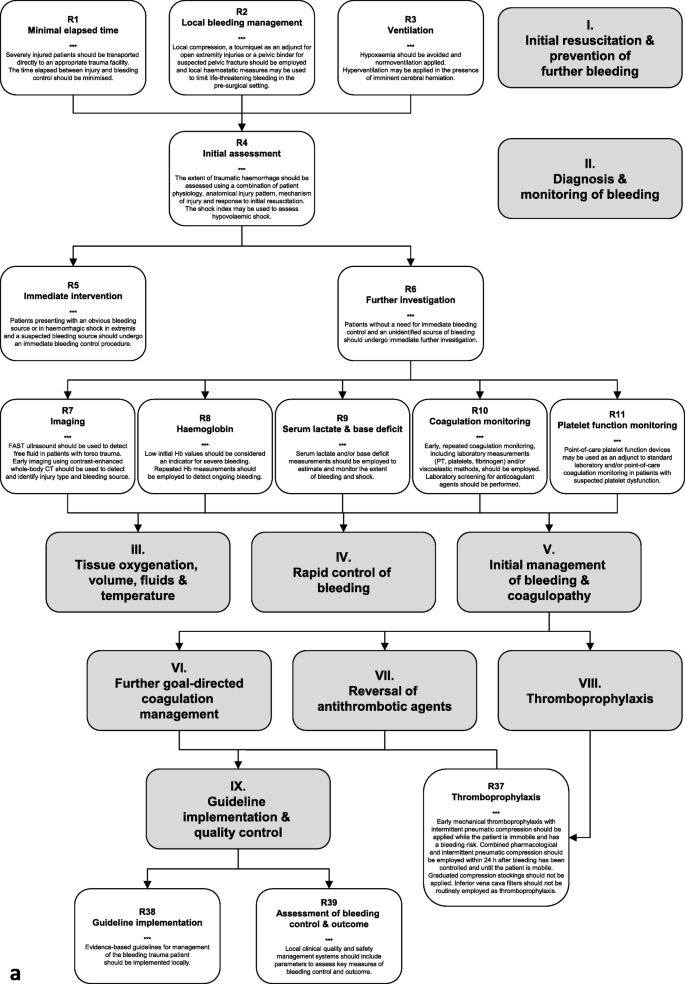 The European guideline on management of major bleeding and