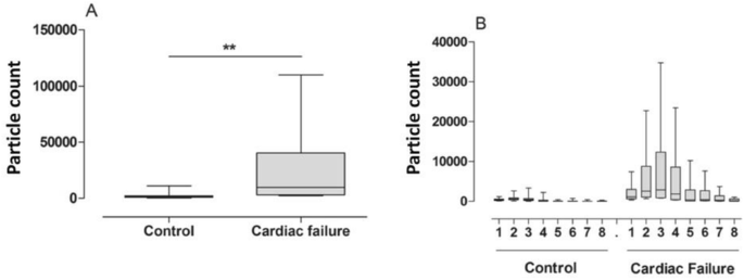 figure 171