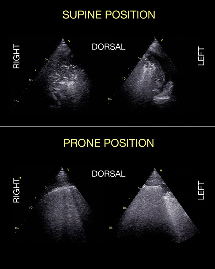 figure5