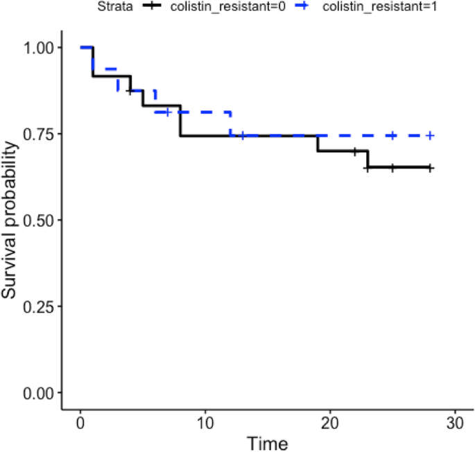 figure 144