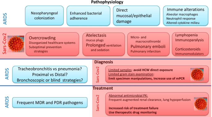 Ventilator-associated pneumonia in the era of COVID-19 pandemic: How common  and what is the impact? | Critical Care | Full Text