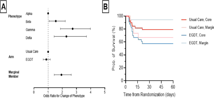 BRB-N scores stratified by age and educational level (expressed as mean