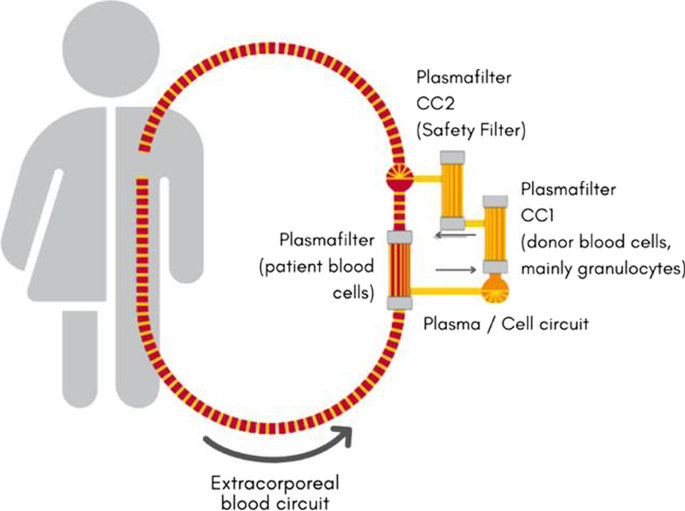 figure 61