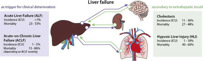 case study liver cirrhosis pdf