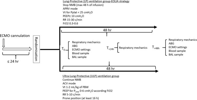 Ultra-lung-protective ventilation and biotrauma in severe ARDS patients on  veno-venous extracorporeal membrane oxygenation: a randomized controlled  study | Critical Care | Full Text