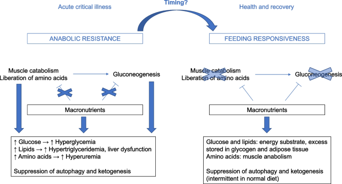 nutrition research figure 1