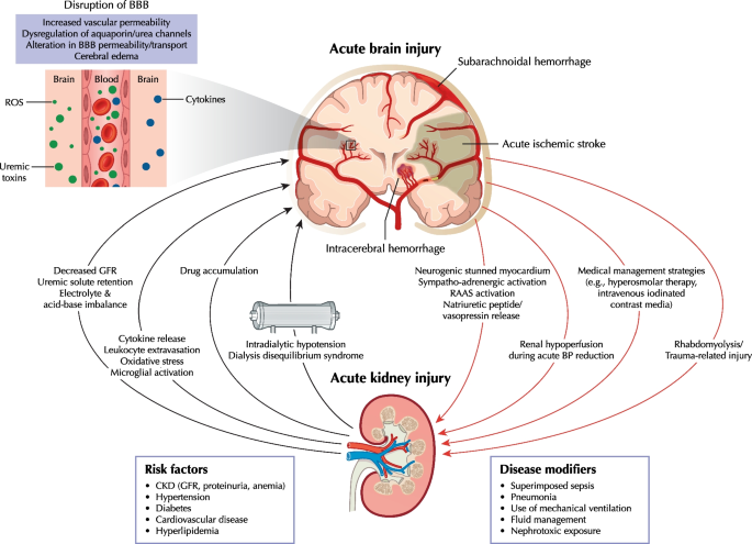 case study for acute kidney injury