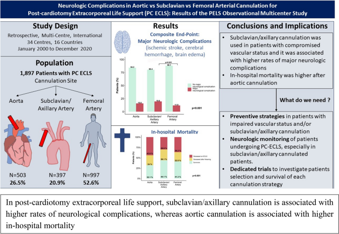 Impact of Cannulation Strategies on Neurological Complications in ECLS Patients: A Multicenter Retrospective Analysis  