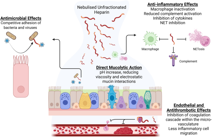cjc-1295 ipamorelin growth hormone peptides CJC-1295 + Ipamorelin: Benefits, Differences, and When to Combine   Revolution Health & Wellness