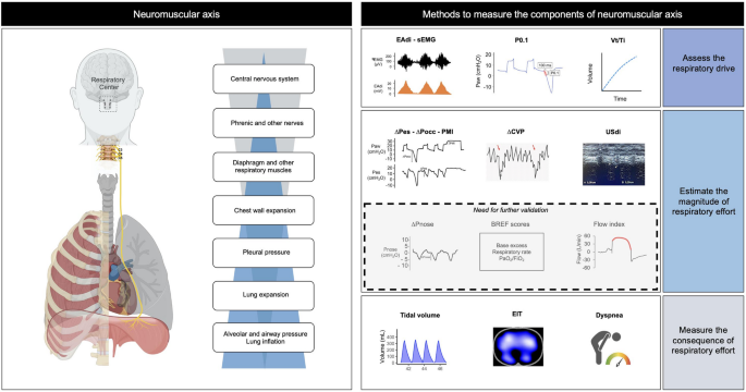 When Sufficient Ventilation Cannot Be Obtained: Essential Safety Tips