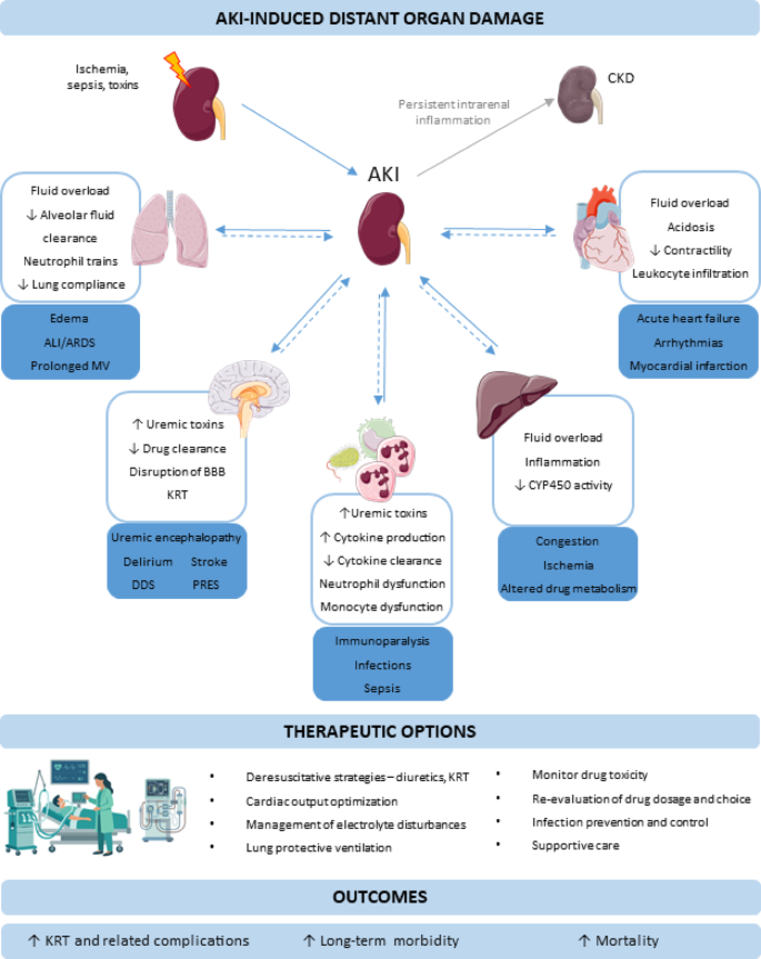glutathione for ckd AKI as a systemic syndrome and its impact on other organ systems | Critical Care Size:50g bpc 157 shelf life NAC liver support