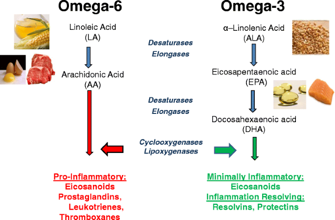 Omega-3 fatty acids for breast cancer prevention and survivorship | Breast  Cancer Research | Full Text