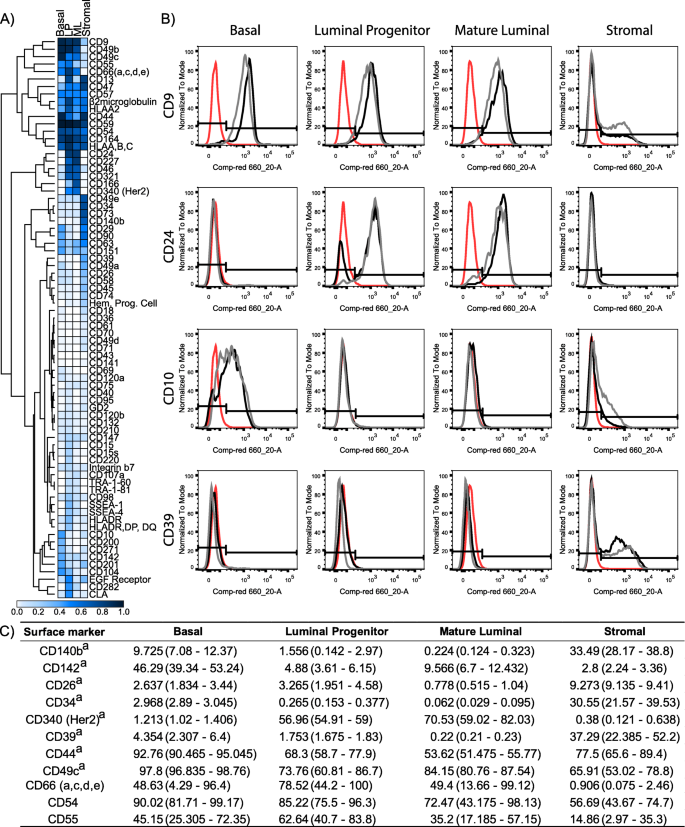 High-throughput surface marker screen on primary human breast tissues  reveals further cellular heterogeneity | Breast Cancer Research | Full Text