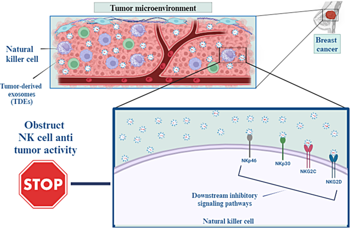 cancer research paper figure 3