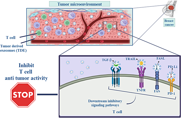cancer research paper figure 4