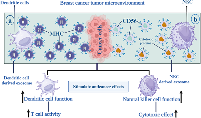 cancer research paper figure 5