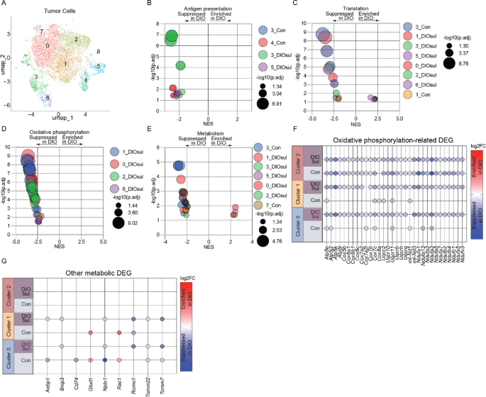 The nonsteroidal anti-inflammatory drug sulindac reverses obesity-driven  immunosuppression and triple-negative breast cancer progression | Breast  Cancer Research