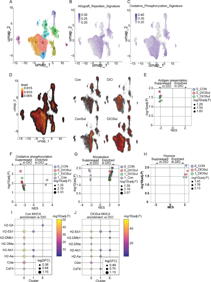 The nonsteroidal anti-inflammatory drug sulindac reverses obesity-driven  immunosuppression and triple-negative breast cancer progression | Breast  Cancer Research