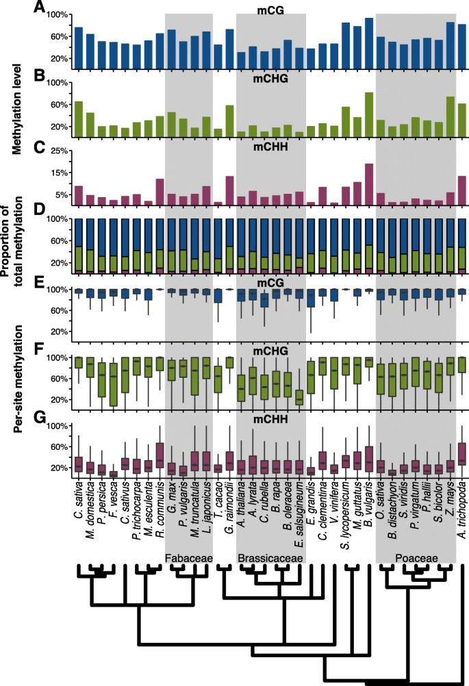 Widespread Natural Variation Of Dna Methylation Within Angiosperms Genome Biology Full Text