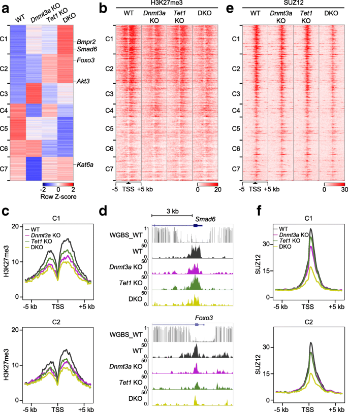 Dnmt3a And Tet1 Cooperate To Regulate Promoter Epigenetic Landscapes In Mouse Embryonic Stem Cells Genome Biology Full Text